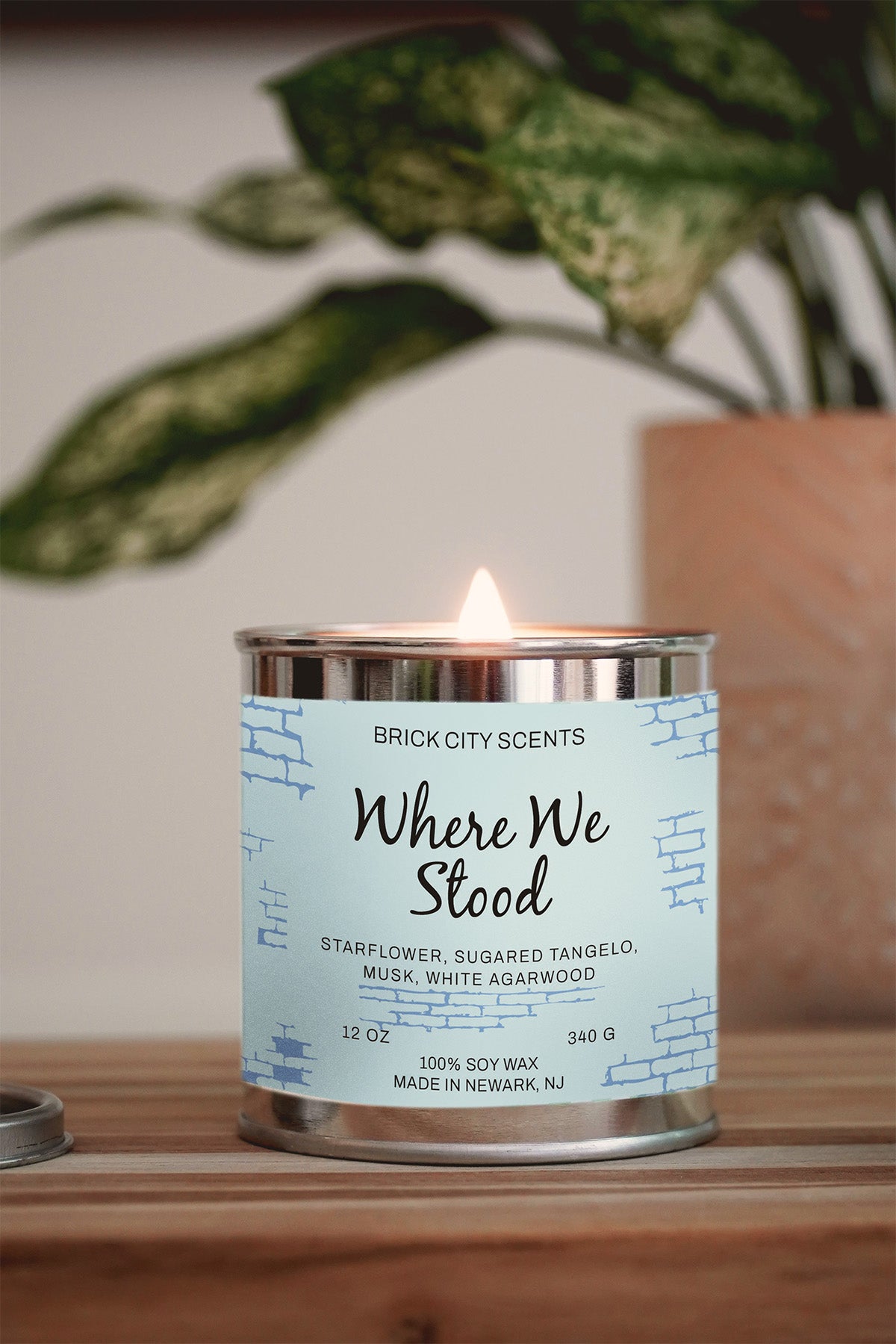 Where We Stood: 12oz Wooden Wick Candle