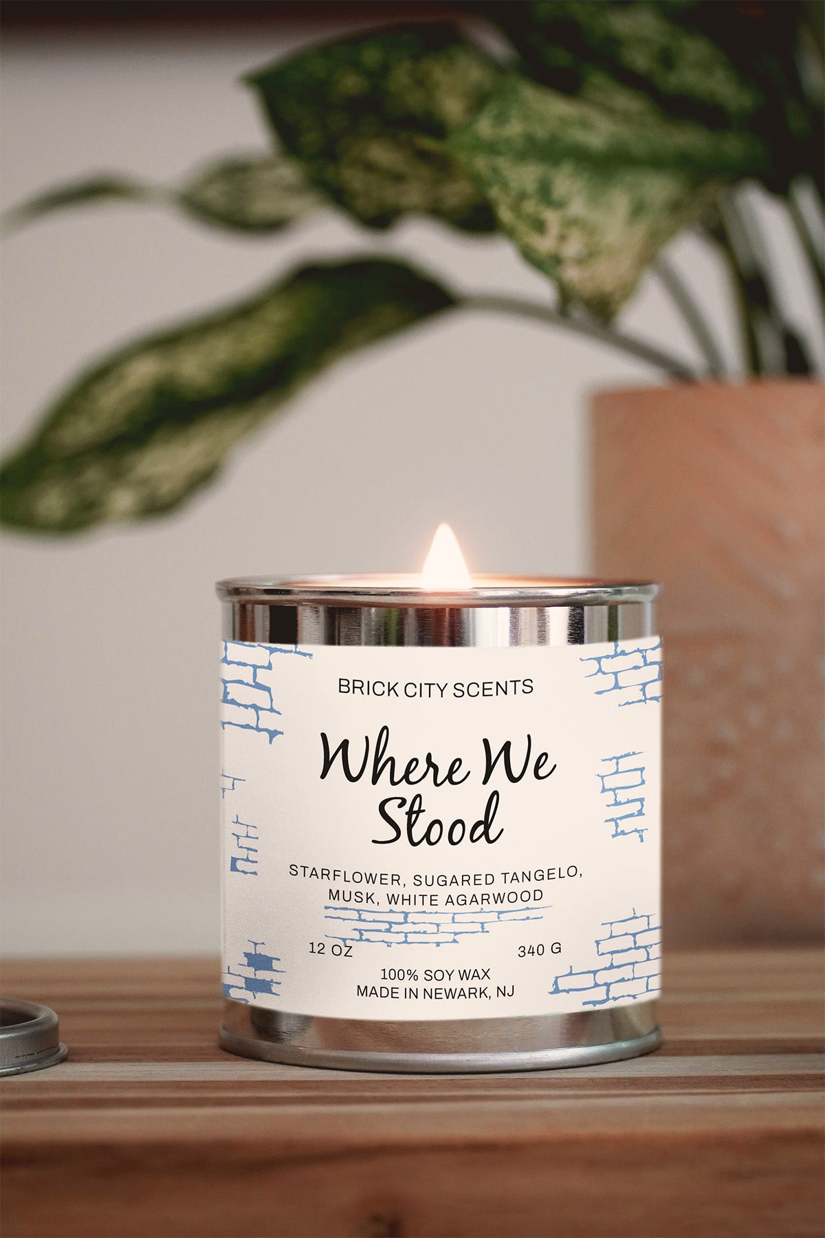 Where We Stood: 12oz Wooden Wick Candle